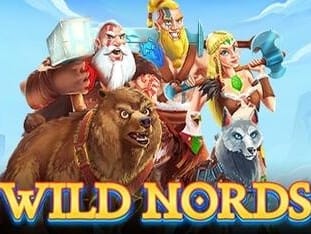 Wild Nords game cover