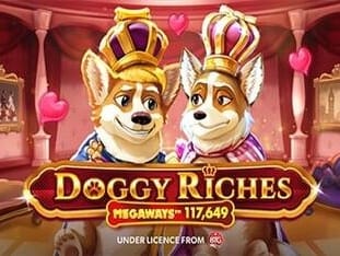 Doggy Riches Megaways™ game cover